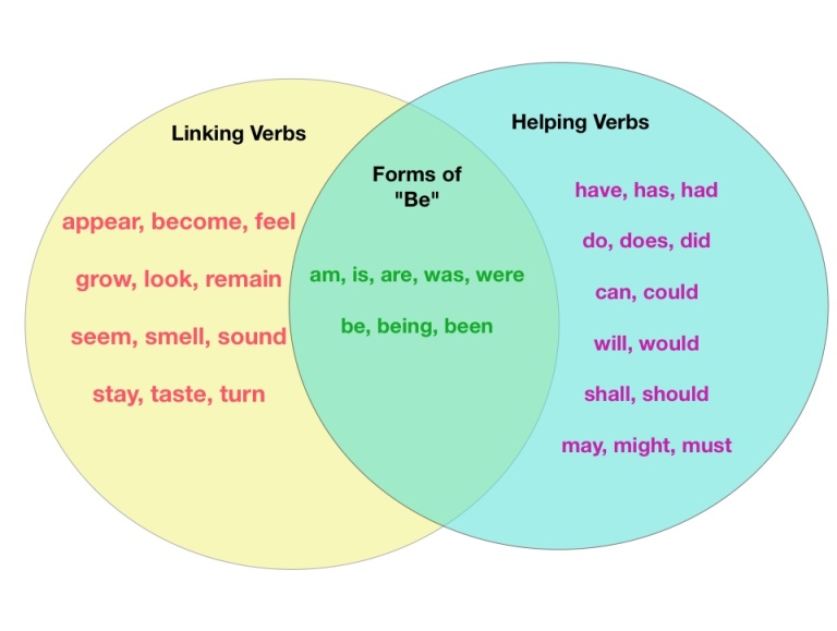 Action Verb Vs Linking Verb Practice